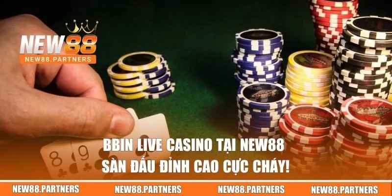 Bbin Live Casino