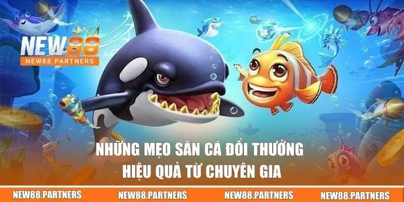Những mẹo săn cá đổi thưởng hiệu quả từ chuyên gia
