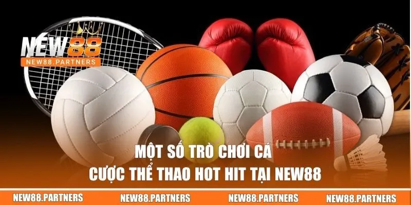 Một số trò chơi cá cược thể thao hot hit tại New88 